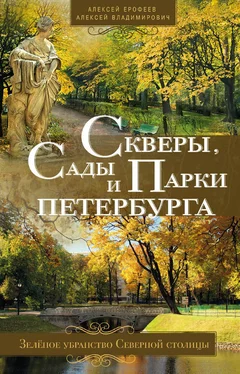 Алексей Ерофеев Скверы, сады и парки Петербурга. Зелёное убранство Северной столицы обложка книги