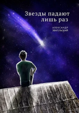 Александр Звагельский Звезды падают лишь раз обложка книги