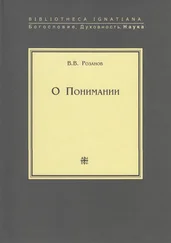 Василий Розанов - О Понимании