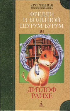 Дитлоф Райхе Фредди и большой шурум-бурум обложка книги