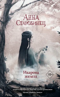 Анна Старобинец Икарова железа. Книга метаморфоз