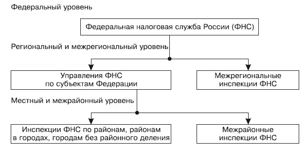 Рис 12 Структура налоговых органов Кроме того ФНС является уполномоченным - фото 2