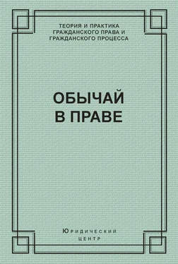 Александр Поротиков Обычай в праве (сборник)