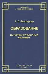 Евгений Белозерцев - Образование. Историко-культурный феномен