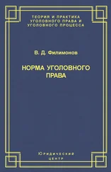 Вадим Филимонов - Норма уголовного права