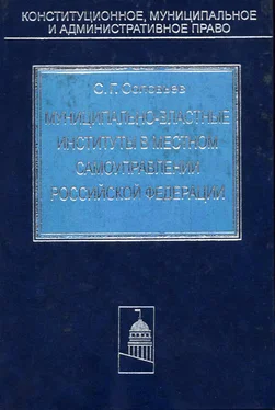 Сергей Соловьев Муниципально-властные институты в местном самоуправлении Российской Федерации обложка книги