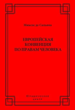 Микеле де Сальвиа Европейская конвенция по правам человека обложка книги