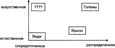 Надо сказать что мозг европейской норвежской крысы ничем не отличается от - фото 19