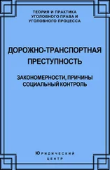 Владимир Шиханов - Дорожно-транспортная преступность. Закономерности, причины, социальный контроль