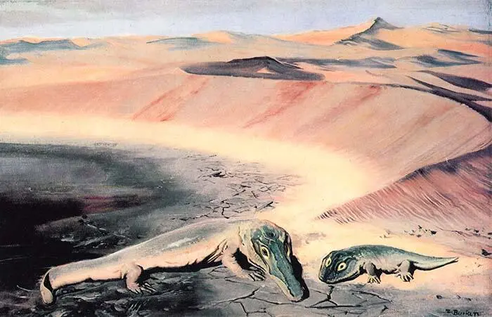 V ARCHEGOSAURUS DECHENI BRANCHIOSAURUS AMBLYSTOMUS ИЗОБРАЖЕНИЕ АРИДНОГО - фото 5