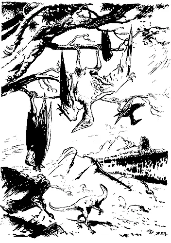 8 PTERODACTYLUS KOCHI 1948 г рисунок пером и тушью на бумаге 20х14 см - фото 10