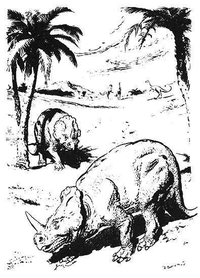10 MONOCLONIUS NASICORNUS 1948 год рисунок пером и тушью на бумаге 285x21 - фото 13