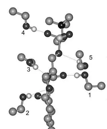 Рис 1 Взаимодействие молекул этанола с фосфатидилхолином молекулярное - фото 2