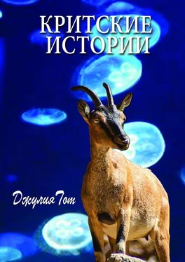 Джулия Тот Критские истории обложка книги