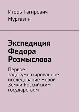 Игорь Муртазин Экспедиция Федора Розмыслова обложка книги