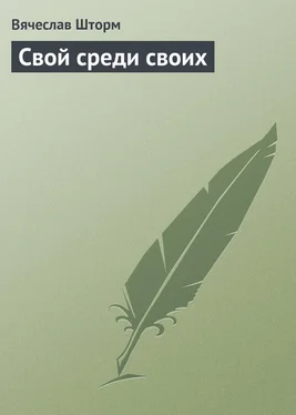 Вячеслав Шторм Свой среди своих обложка книги