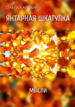 Ольга Карклин Янтарная шкатулка обложка книги