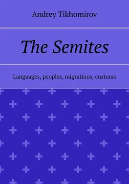 Andrey Tikhomirov The Semites. Languages, peoples, migrations, customs обложка книги