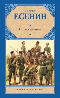 Сергей Есенин Страна негодяев (сборник) обложка книги