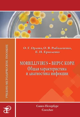 Елена Ермоленко Morbillivirus – вирус кори. Общая характеристика и диагностика инфекции. Учебно-методическое пособие обложка книги