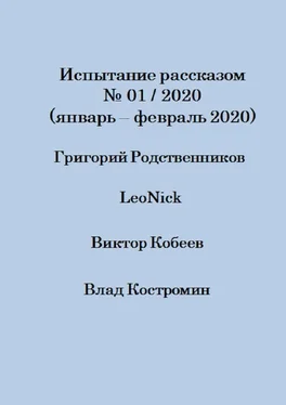 Array LeoNick Испытание рассказом, №01/2020 (январь – февраль 2020) обложка книги