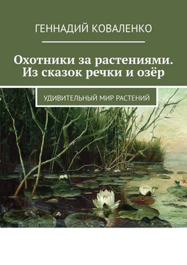 Геннадий Коваленко Охотники за растениями. Из сказок речки и озёр. Удивительный мир растений обложка книги