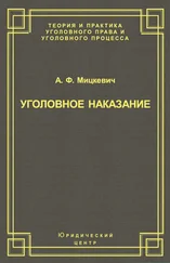 Александр Мицкевич - Уголовное наказание - понятие, цели и механизмы действия