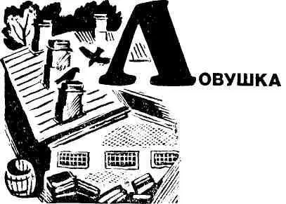 Тогда мне было лет двенадцать Наша семья жила в большом селе райцентре в - фото 10
