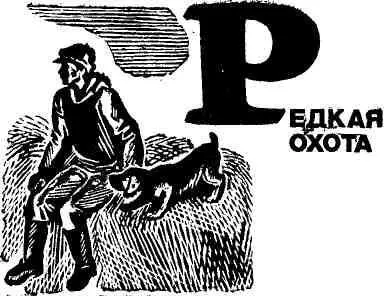 Августовским погожим днем с ружьем за плечами шагал я со спаниелем Томкой на - фото 13