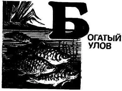 Я снова на Озернице Целый год не видел речку а сейчас иду вдоль обрывистого - фото 19