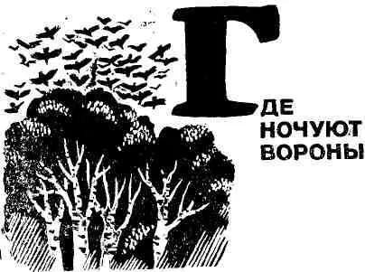 Где ночуют вороны Всего естественнее предположить в лесу на деревьях Однако - фото 7