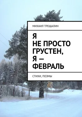 Михаил Трещалин Я не просто грустен, я – февраль. Стихи, поэмы обложка книги