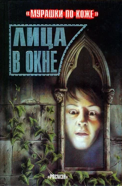 Эмма Фишел Лица в окне обложка книги