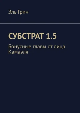 Эль Грин Субстрат 1.5. Бонусные главы от лица Камаэля обложка книги