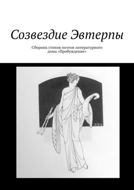 Валентин Иванов Созвездие Эвтерпы. Сборник стихов поэтов литературного дома «Пробуждение» обложка книги