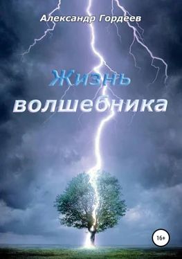 Александр Гордеев Жизнь волшебника обложка книги