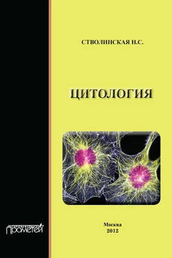 Наталья Стволинская Цитология обложка книги