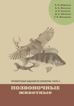 Алексей Мосалов Проверочные задания по зоологии. Часть 2. Позвоночные животные обложка книги