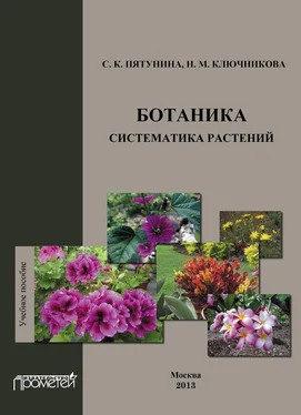 Надежда Ключникова Ботаника. Систематика растений: учебное пособие обложка книги