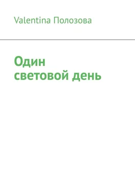 Valentina Полозова Один световой день обложка книги