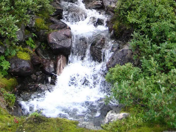 Лечебные свойства воды Вода является главной составной частью крови помогает - фото 2