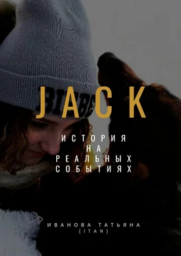 Татьяна Иванова (itan) Jack обложка книги