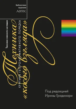 Сборник статей Техника «косого взгляда». Критика гетеронормативного порядка обложка книги