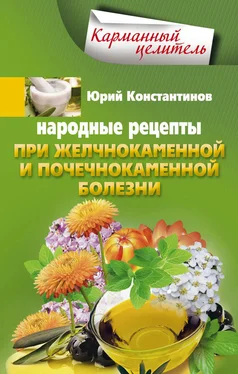Юрий Константинов Народные рецепты при желчнокаменной и почекаменной болезни