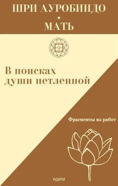 Шри Ауробиндо В поисках души нетленной. Фрагменты работ обложка книги