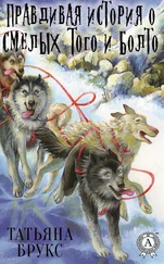 Татьяна Брукс - Правдивая история о смелых Того и Болто