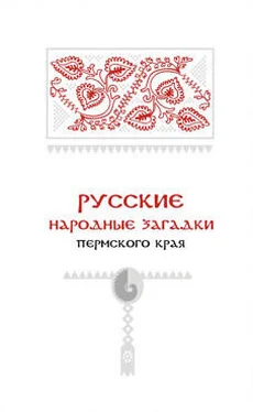 Александр Черных Русские народные загадки Пермского края обложка книги