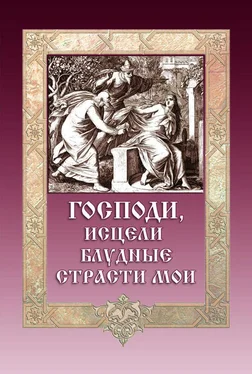 Игумен Митрофан (Гудков) Господи, исцели блудные страсти мои обложка книги