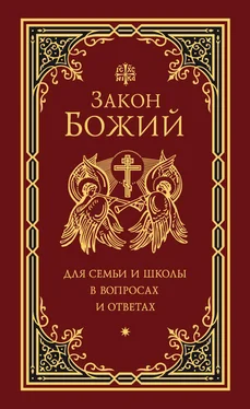 Григорий Чельцов Закон Божий для семьи и школы в вопросах и ответах обложка книги