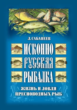 Леонид Сабанеев Исконно русская рыбалка: Жизнь и ловля пресноводных рыб обложка книги